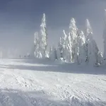 Pernek