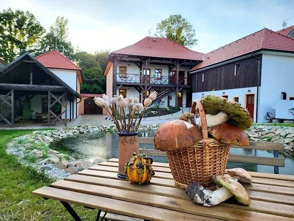 Pernek 公寓式酒店 Horní Planá